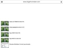 Tablet Screenshot of dogerhurhaber.com